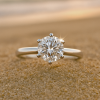 Moissanite solitaire ring in white gold by Sparkl365 – FLEURIS